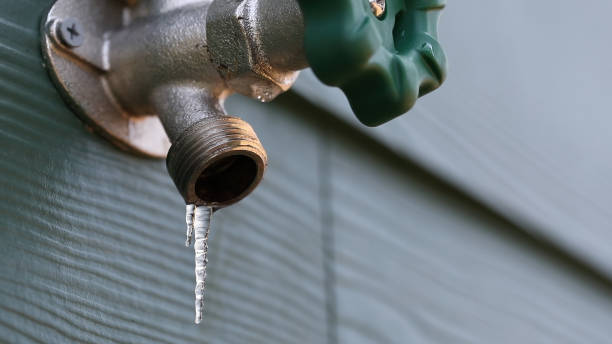 Best Local Plumber Services  in Slayton, MN